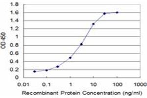 Detection limit for recombinant GST tagged GLRA1 is approximately 0. (GLRA1 antibody  (AA 121-220))
