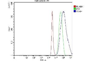 Flow Cytometry analysis of HepG2 cells using anti-ATRIP antibody (ABIN7599701).