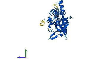AlphaFold protein structure predicition of Human Recombinant CTDNEP1 Protein, UniprotID O95476