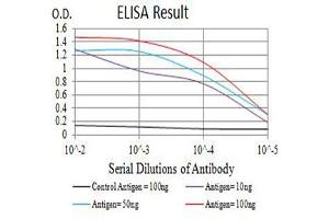 Black line: Control Antigen (100 ng),Purple line: Antigen (10 ng), Blue line: Antigen (50 ng), Red line:Antigen (100 ng) (CSF3R antibody  (AA 25-187))