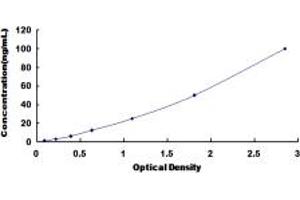 Typical standard curve (CARNS1 ELISA Kit)