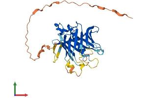 AlphaFold protein structure predicition of Mouse Recombinant Plscr2 Protein, UniprotID Q9DCW2 (PLSCR2 Protein (AA 1-307) (His tag))