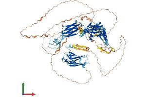 AlphaFold protein structure predicition of Mouse Recombinant Dnaaf2 Protein, UniprotID Q8BPI1 (DNAAF2 Protein (AA 1-814) (His tag))
