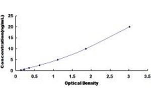 Typical standard curve (Inhibitory Subunit Of NF kappa B alpha ELISA Kit)