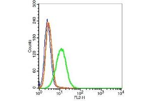 A549 cells probed with 	VEGFR3 Polyclonal Antibody, Unconjugated  at 1:100 for 30 minutes followed by incubation with a conjugated secondary (PE conjugated) (green) for 30 minutes compared to control cells (blue), secondary only (light blue) and isotype control (orange). (FLT4 antibody  (AA 901-1000))