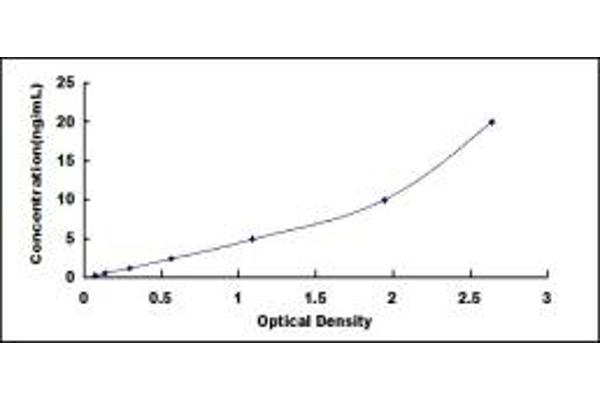 OPTC ELISA Kit
