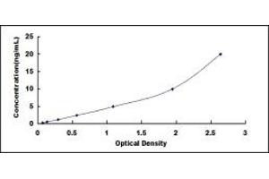 Typical standard curve (OPTC ELISA Kit)