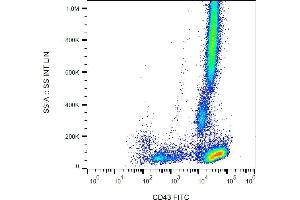 Flow cytometry analysis (surface staining) of human peripheral blood with anti-CD43 (MEM-59) FITC. (CD43 antibody  (FITC))
