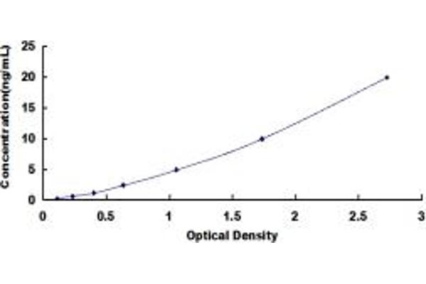 SSH1 ELISA Kit