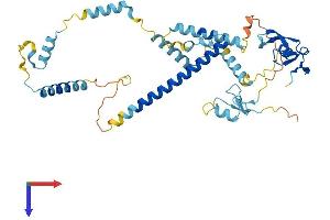 AlphaFold protein structure predicition of Mouse Recombinant Zfyve19 Protein, UniprotID Q9DAZ9 (ZFYVE19 Protein (AA 1-389) (His tag))