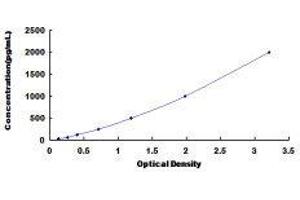 Frizzled-Related Protein (FRZB) ELISA Kit