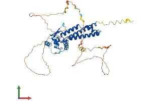 AlphaFold protein structure predicition of Human Recombinant TFAP2C Protein, UniprotID Q92754