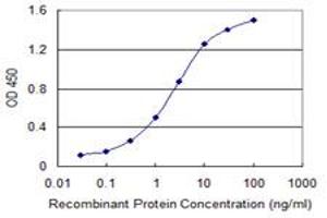 Detection limit for recombinant GST tagged VASH1 is 0. (VASH1 antibody  (AA 3-100))
