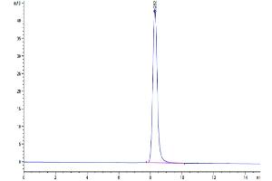 The purity of Cynomolgus EPHB2 is greater than 95 % as determined by SEC-HPLC. (EPH Receptor B2 Protein (EPHB2) (AA 19-542) (His tag))