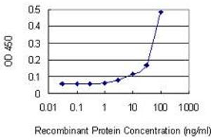 Detection limit for recombinant GST tagged SEPT8 is 3 ng/ml as a capture antibody. (Septin 8 antibody  (AA 1-258))
