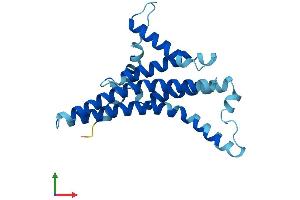Protein Structure (PS) image for Mitochondrially Encoded ATP Synthase 6 (MT-ATP6) (AA 1-226) protein (His tag) (ABIN7552540)