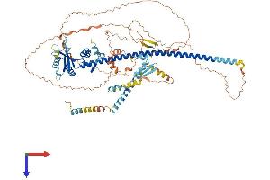LINE-1 Type Transposase Domain Containing 1 (L1TD1) (AA 1-782) protein (His tag)
