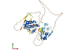 AlphaFold protein structure predicition of Human Recombinant DUSP10 Protein, UniprotID Q9Y6W6