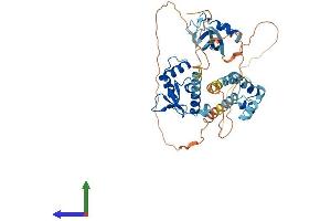 AlphaFold protein structure predicition of Mouse Recombinant Gabpa Protein, UniprotID Q00422