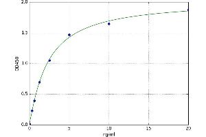 Toll-Like Receptor 7 (TLR7) ELISA Kit