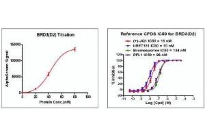 Recombinant BRD3 (306-416) activity using AlphaScreen. (BRD3 Protein (AA 306-416) (His tag,DYKDDDDK Tag))