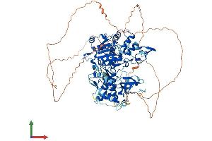 Protein Structure (PS) image for DNA (Cytosine-5-)-Methyltransferase 3 beta (DNMT3B) (AA 1-853) protein (His tag) (ABIN7553731)
