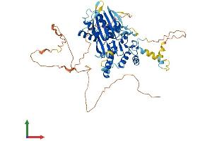 AlphaFold protein structure predicition of Human Recombinant DONSON Protein, UniprotID Q9NYP3 (DONSON Protein (AA 1-566) (His tag))