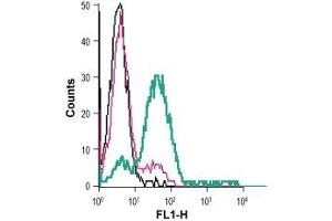 Cell surface detection of EphA3 in live intact human Jurkat T-cell leukemia cells: (black line) Cells. (EPH Receptor A3 antibody  (Extracellular, N-Term))