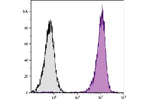 Human peripheral blood granulocytes were stained with Mouse Anti-Human CD11b-APC. (CD11b antibody)