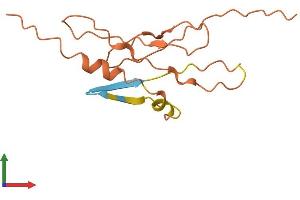AlphaFold protein structure predicition of Human Recombinant HCP5 Protein, UniprotID Q6MZN7 (HCP5 Protein (AA 1-132) (His tag))