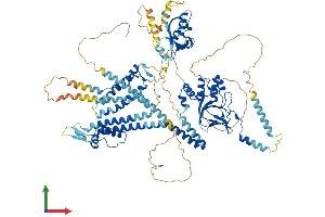 AlphaFold protein structure predicition of Mouse Recombinant Kcnh1 Protein, UniprotID Q60603 (KCNH1 Protein (AA 1-989) (His tag))