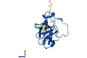 AlphaFold protein structure predicition of Human Recombinant FAM72B Protein, UniprotID Q86X60 (FAM72B Protein (AA 1-149) (His tag))