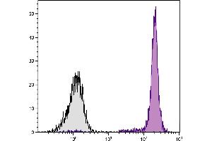 Chicken peripheral blood lymphocytes were stained with Mouse Anti-Chicken CD45-APC. (CD45 antibody  (APC))