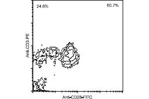 Flow Cytometry (FACS) image for anti-CD28 (CD28) antibody (FITC) (ABIN371358) (CD28 antibody  (FITC))
