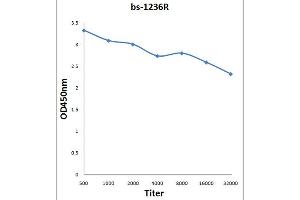 Antigen: 0. (Involucrin antibody  (AA 65-180))