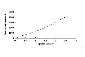 Typical standard curve (TREM2 ELISA Kit)