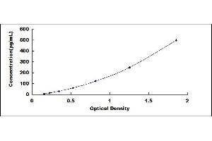 Typical standard curve (TGFB3 ELISA Kit)