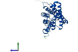 AlphaFold protein structure predicition of Human Recombinant AQP8 Protein, UniprotID O94778