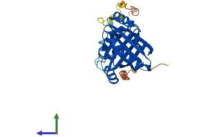 Protein Structure (PS) image for 4-Nitrophenylphosphatase Domain and Non-Neuronal SNAP25-Like Protein Homolog 1 (NIPSNAP1) (AA 1-284) protein (His tag) (ABIN7562485)
