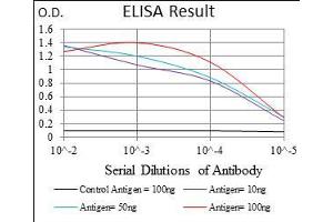 Black line: Control Antigen (100 ng), Purple line: Antigen(10 ng), Blue line: Antigen (50 ng), Red line: Antigen (100 ng), (ABCG5 antibody  (AA 306-367))