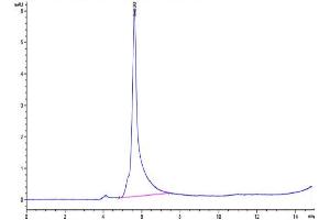 Size-exclusion chromatography-High Pressure Liquid Chromatography (SEC-HPLC) image for Leukocyte Immunoglobulin-Like Receptor, Subfamily B (With TM and ITIM Domains), Member 2 (LILRB2) (AA 22-458) protein (mFc Tag) (ABIN7275172)