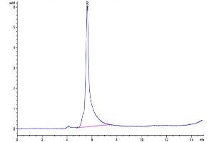 The purity of  Human LILRB2 is greater than 95 % as determined by SEC-HPLC. (LILRB2 Protein (AA 22-458) (mFc Tag))