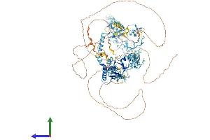 Protein Structure (PS) image for Nuclear Transcription Factor, X-Box Binding 1 (NFX1) (AA 1-1120) protein (His tag) (ABIN7554716)