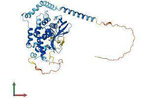 AlphaFold protein structure predicition of Human Recombinant PNPLA5 Protein, UniprotID Q7Z6Z6