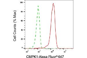 Flow cytometric analysis of CMPK1 expression in HepG2 cells using CMPK1 antibody (ABIN7798241), 1:1,000).