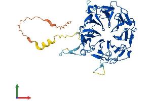 Protein Structure (PS) image for Williams-Beuren Syndrome Chromosome Region 16 (WBSCR16) (AA 1-464) protein (His tag) (ABIN7545173)