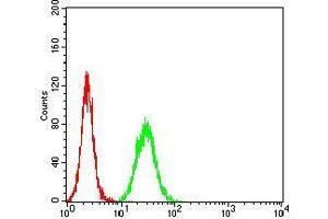 Flow cytometric analysis of Hela cells using THBS1 mouse mAb (green) and negative control (red). (Thrombospondin 1 antibody  (AA 750-850))