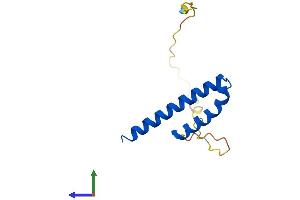 AlphaFold protein structure predicition of Human Recombinant CDK2AP1 Protein, UniprotID O14519 (CDK2AP1 Protein (AA 1-115) (His tag))