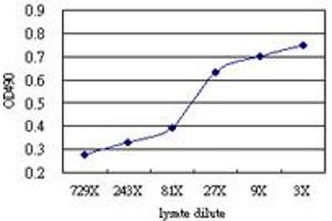 Sandwich ELISA detection sensitivity ranging from approximately 243x to 3x dilution of the DUSP9 293T overexpression lysate (non-denatured).