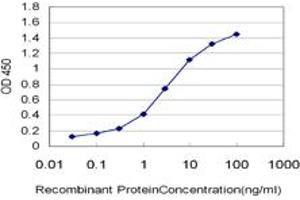 Detection limit for recombinant GST tagged EPHB3 is approximately 0. (EPH Receptor B3 antibody  (AA 899-997))